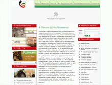 Tablet Screenshot of ethiorenaissancetours.com